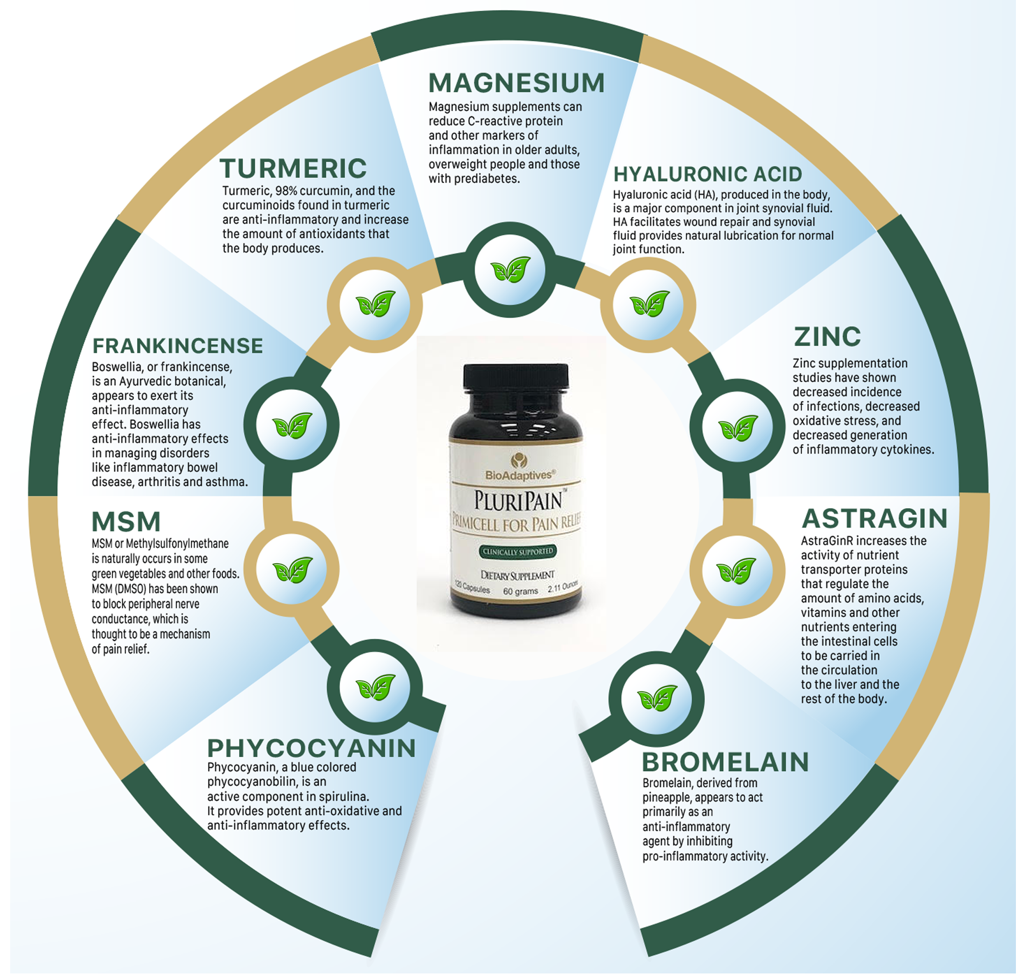 Pain relief wheel of ingredients for all-natural supplement - PluriPain