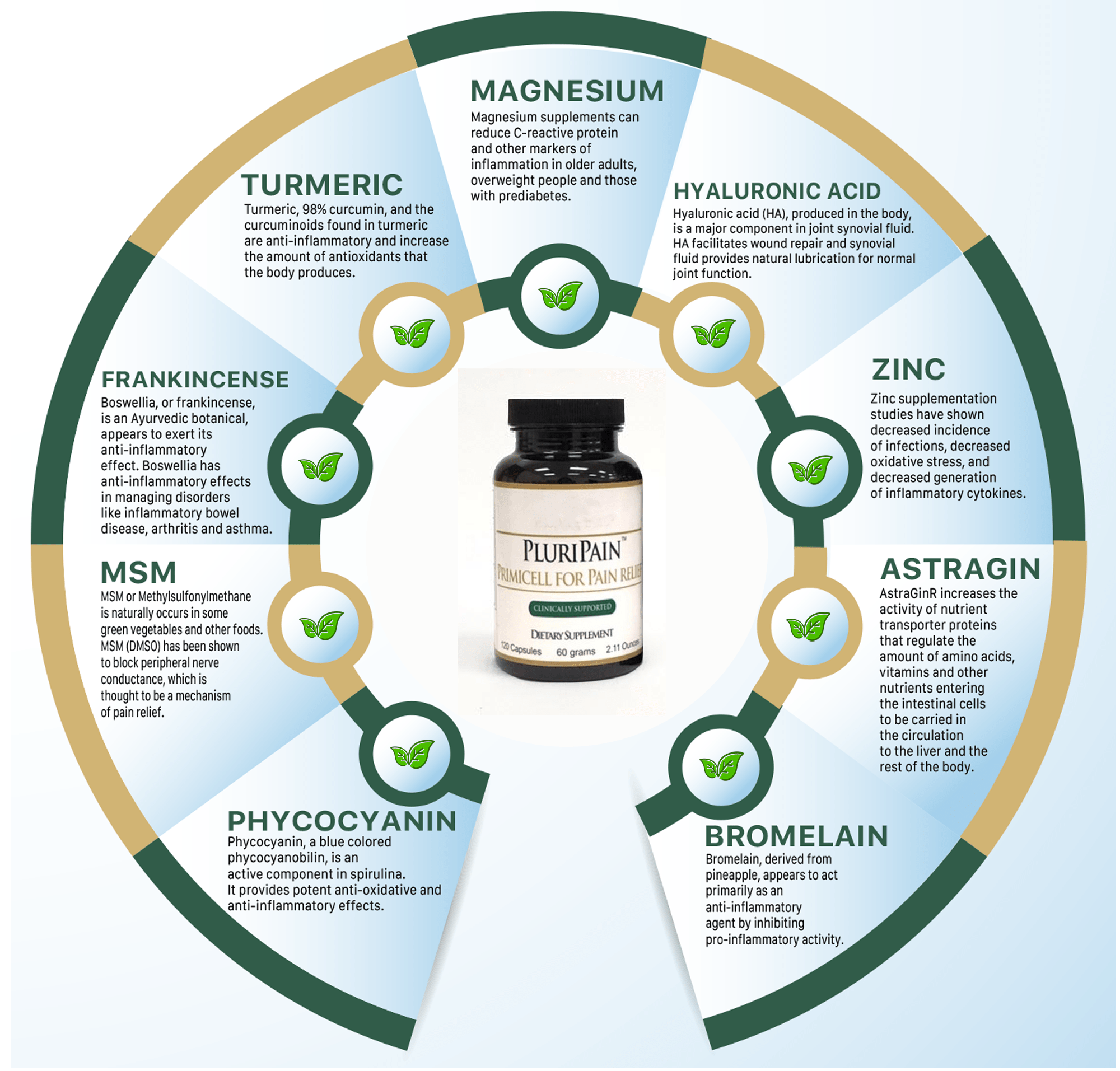Pain relief wheel of ingredients for all-natural supplement - PluriPain